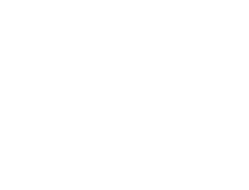 Lynden Lane Co. logo