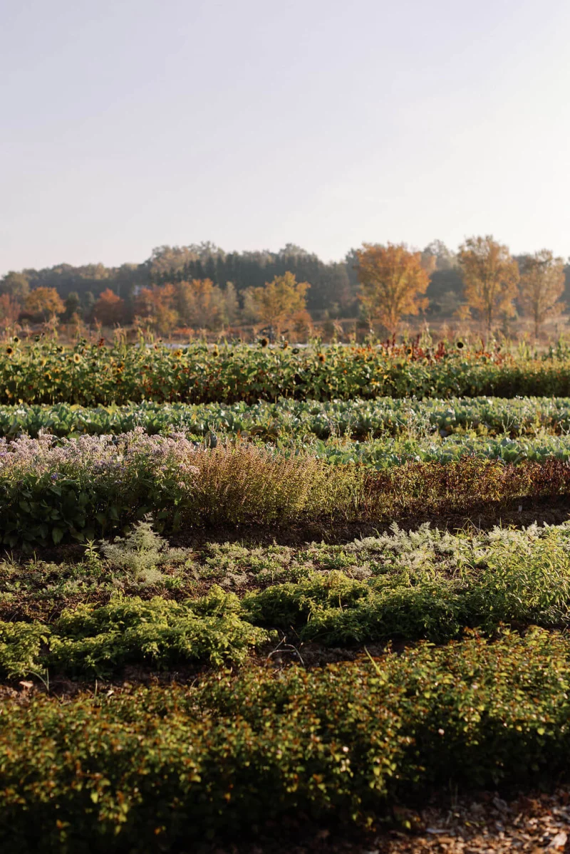 Lynden Lane visits Wildflower Farms, an Auberge resort in Hudson Valley, NY.