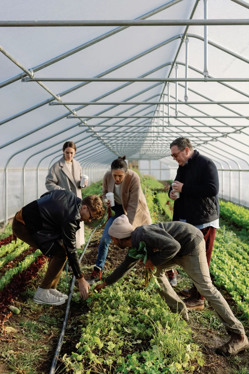 Farm tours at Wildflower Farms in upstate New York.